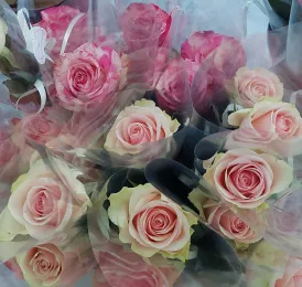 ROSES FETE DES MERES